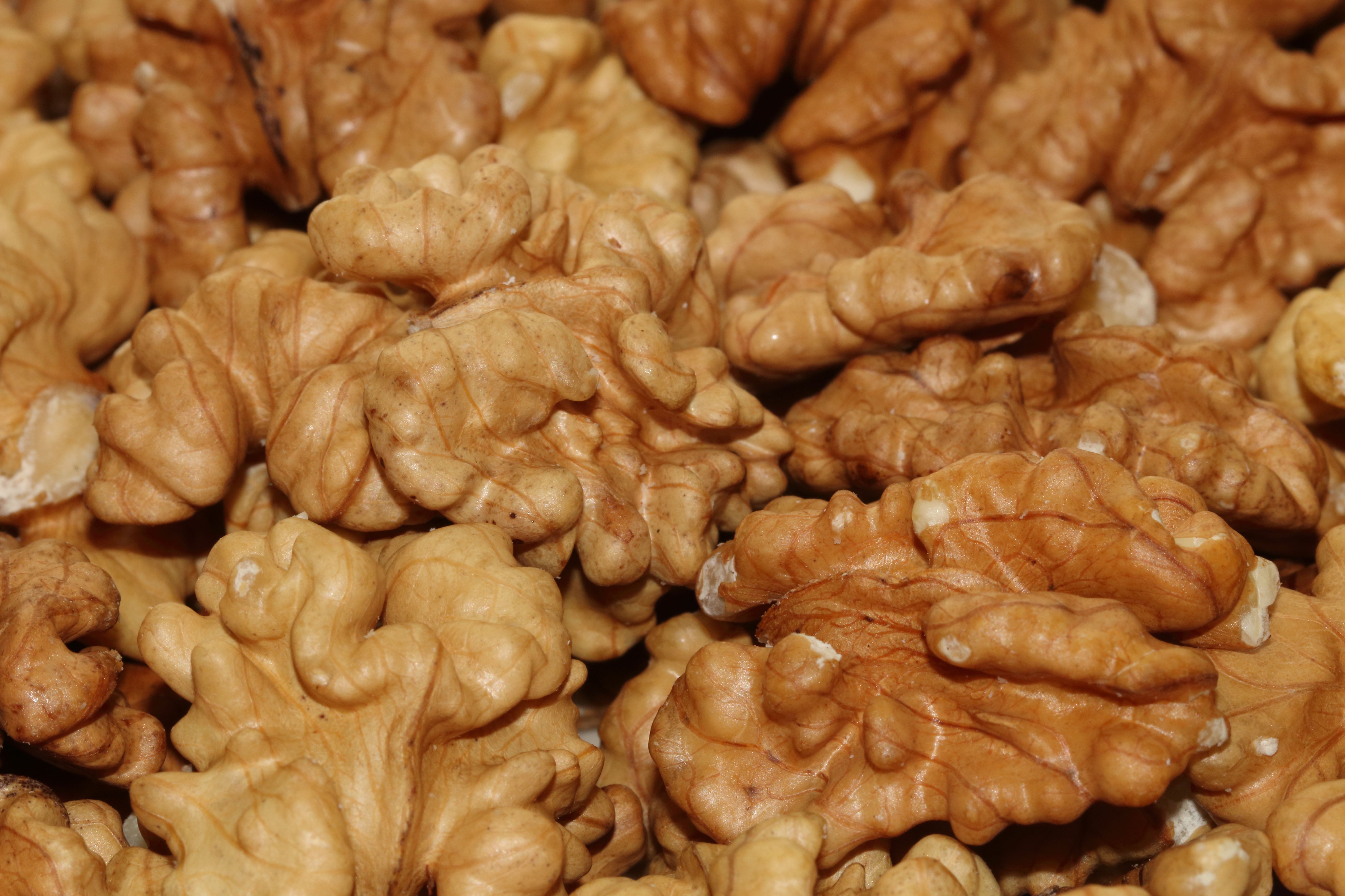 Organic Raw Walnuts