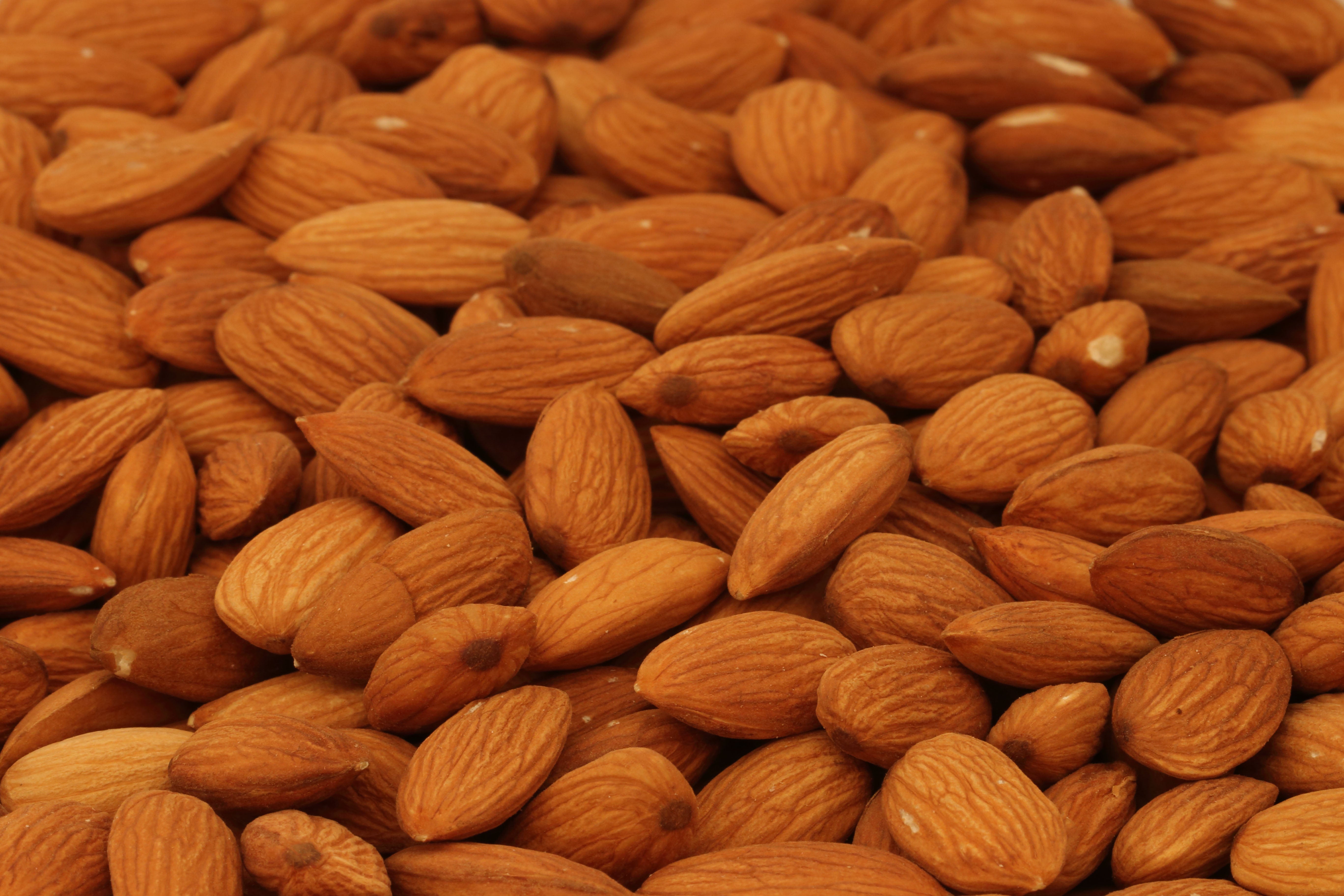Fresh California Grown Organic Almonds
