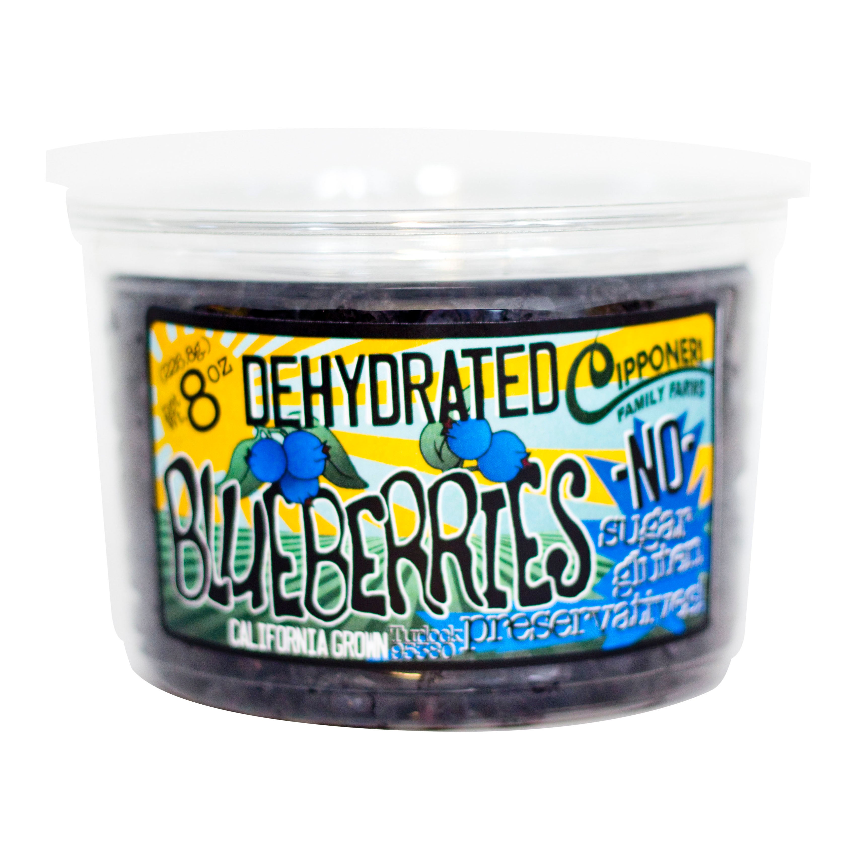 Dehydrated Blueberries Container