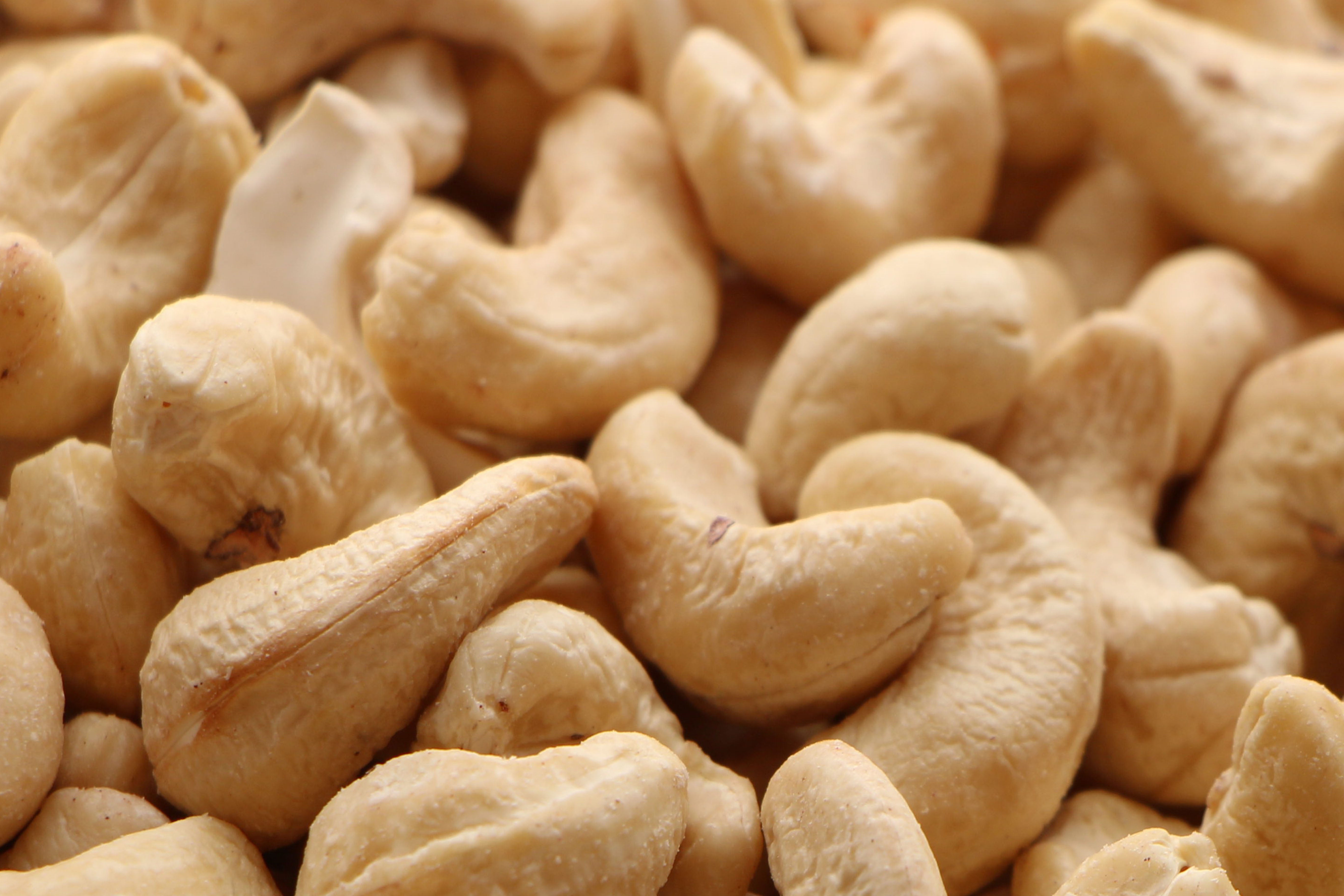 Organic Raw Cashews