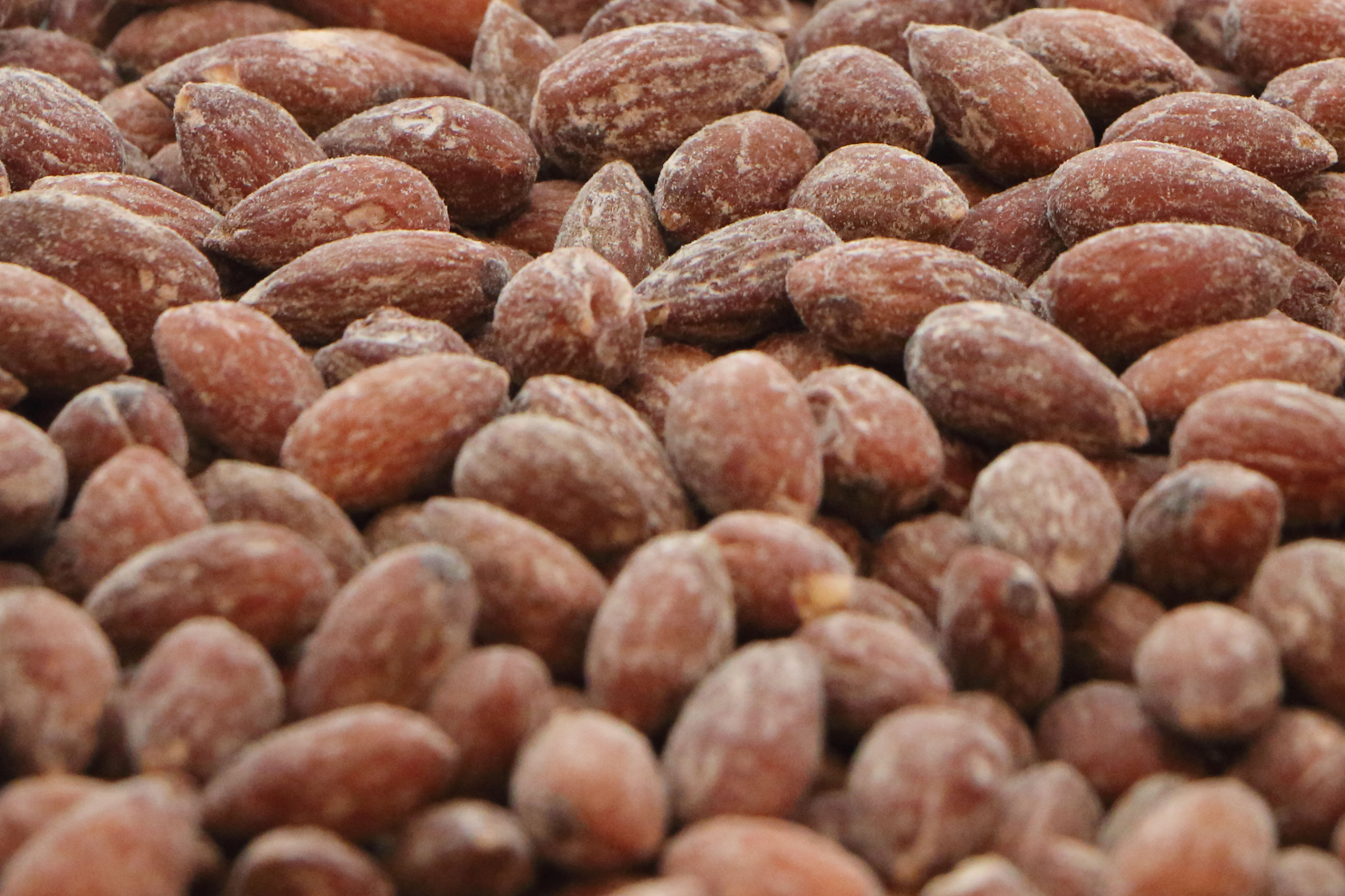 Roasted and Salted Almonds