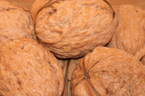 Our premium walnuts un hulled in shell.