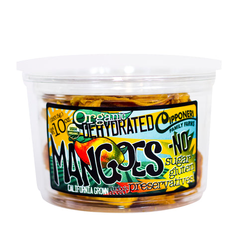 Organic Dehydrated Mangoes Container