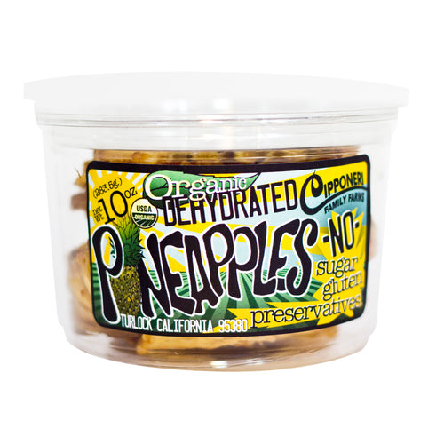 Organic Dehydrated PineApple Rings Container